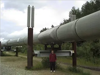 small_071899 alaskaDSC00001.webp